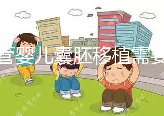 試管嬰兒囊胚移植需要滿足什么條件?