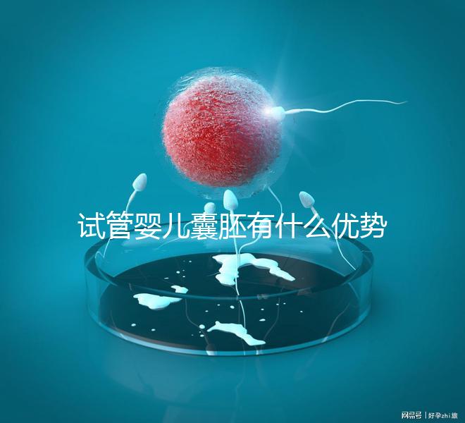試管嬰兒囊胚有什么優(yōu)勢嗎？