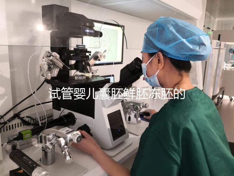 試管嬰兒囊胚鮮胚凍胚的區(qū)別是什么？鮮胚移植VS凍胚移植，哪個(gè)成功率高？