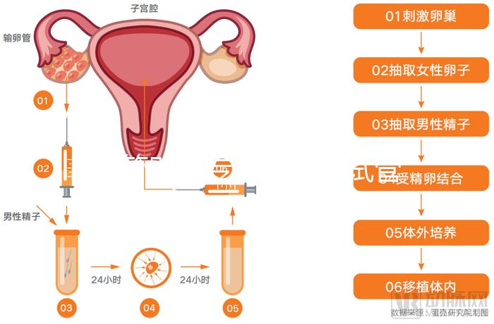 試管嬰兒專(zhuān)家醫(yī)院(試管嬰兒專(zhuān)家醫(yī)院排名)