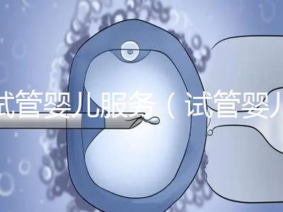 試管嬰兒服務(wù)（試管嬰兒服務(wù)公司合法嗎）