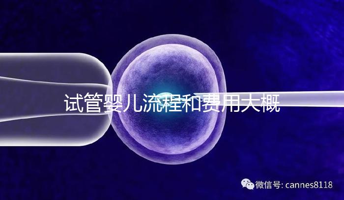 試管嬰兒流程和費(fèi)用大概多少做試管嬰兒的全部流程需要多少錢