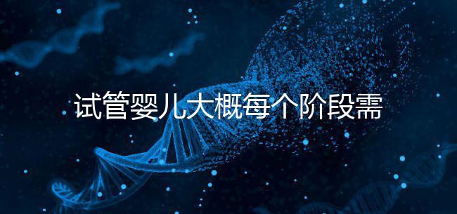 試管嬰兒大概每個階段需要花到多少錢呢？