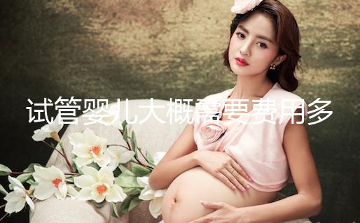 試管嬰兒大概需要費用多少？怎么確定花多少錢？