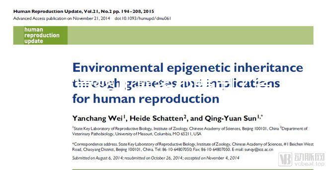 試管嬰兒需多少費用？省錢攻略建議收藏！