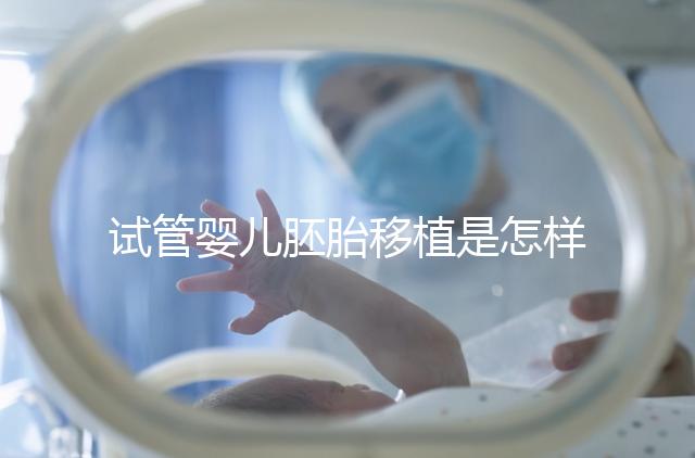 試管嬰兒胚胎移植是怎樣的過程？