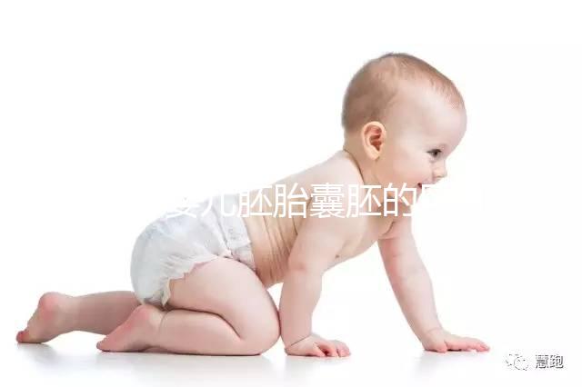 試管嬰兒胚胎囊胚的區別，成功率哪個高