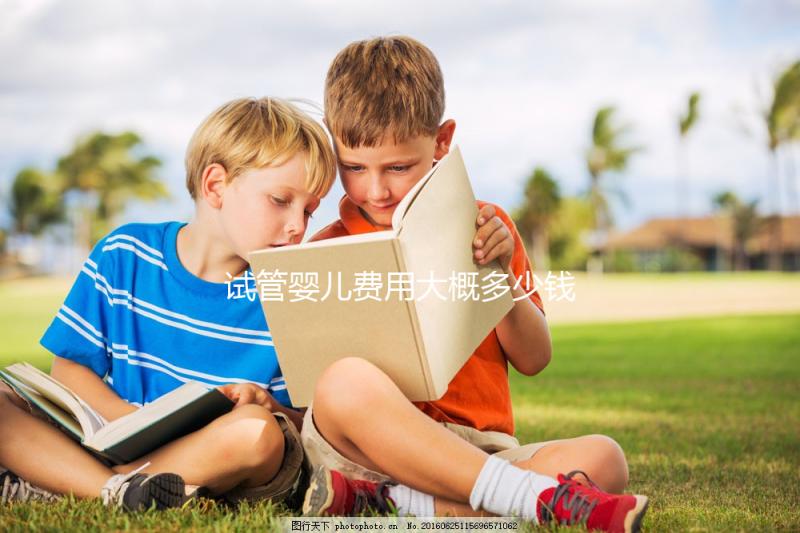 試管嬰兒費(fèi)用大概多少錢(一代試管嬰兒費(fèi)用大概多少錢)