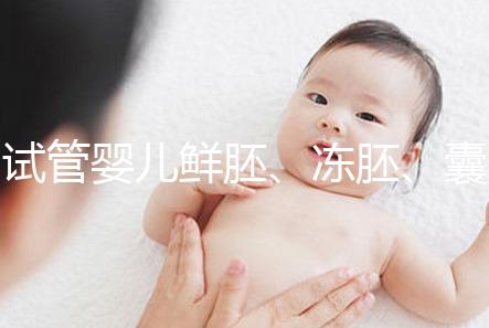 試管嬰兒鮮胚、凍胚、囊胚移植區(qū)別，看完秒懂怎么選