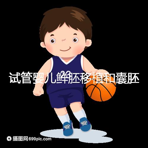 試管嬰兒鮮胚移植和囊胚移植的區別！哪個成功率高看完便知曉