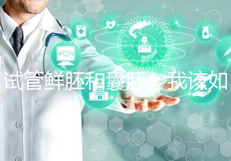 試管鮮胚和囊胚，我該如何選？