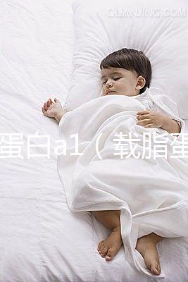 載脂蛋白a1(載脂蛋白a1偏高是什么意思)