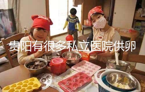 貴陽有很多私立醫(yī)院供卵生子，附2024年新版助孕排名