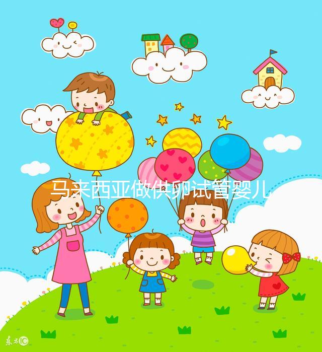 馬來西亞做供卵試管嬰兒,當地政府法律支持它的合法性么?