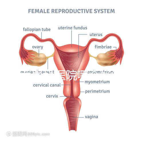 雞西男科醫(yī)院哪個(gè)好答案在這里？公立和私立各有優(yōu)勢(shì)
