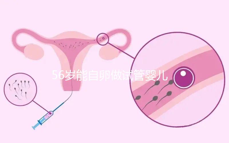 56歲能自卵做試管嬰兒嗎?“奶奶級(jí)媽媽”成功率真不高