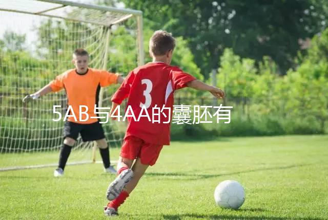 5AB與4AA的囊胚有什么區別？誰更適合移植？