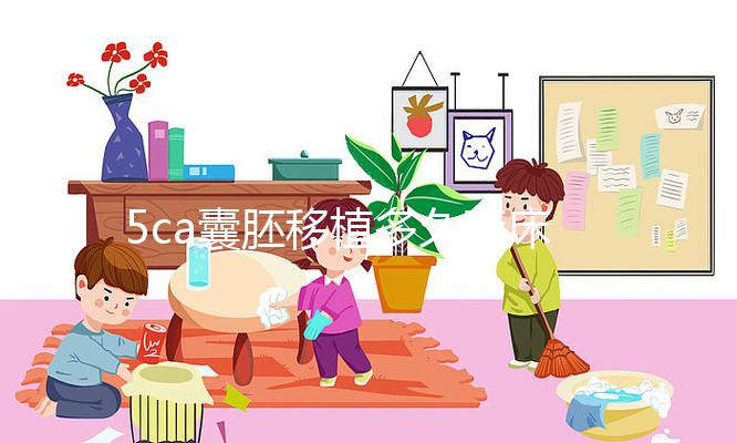 5ca囊胚移植多久著床、有何反應(yīng)答案來了，第8天白板要警惕
