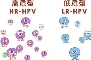 6個胚胎養囊成功率是多大答案在這，能配成3個機會就大