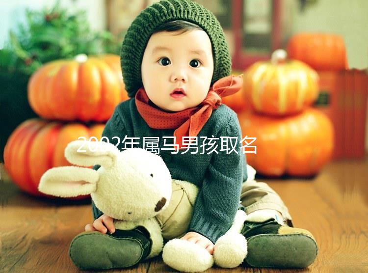 2002年屬馬男孩取名,經典又大氣