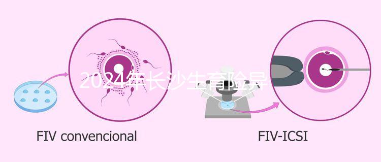 2024年長(zhǎng)沙生育險(xiǎn)異地報(bào)銷備案流程,附比例介紹