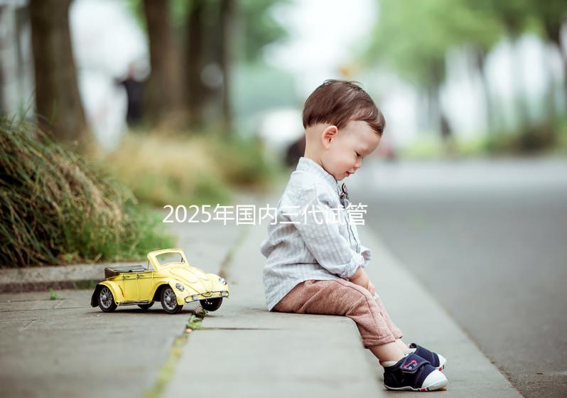 2025年國內三代試管嬰兒公立醫院排名前十有哪些?